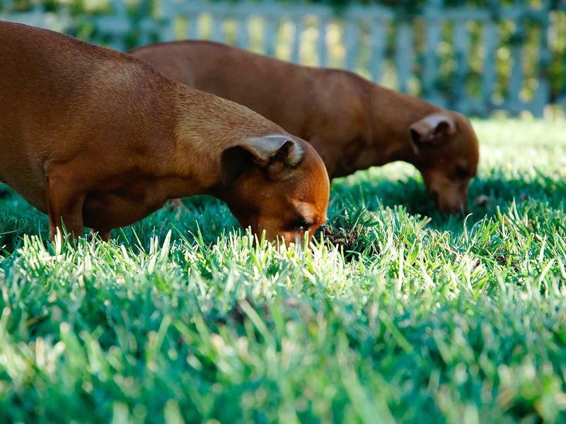 古着买手<br>ujcbtdu.cn 中古LV鉴定